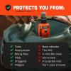 image:imageBens 100 Tick amp Insect Repellent  AlcoholFree DEET Insect Repellent Pump Spray  Offers 10 Hours of Protection for Adults amp Children  125 fl oz Pack of 4125 Fl Oz Pack of 4